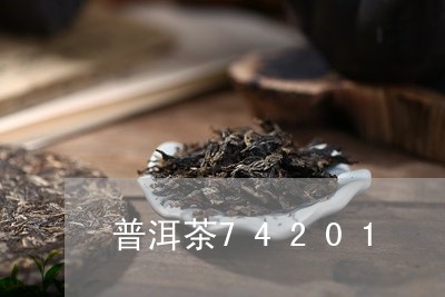 普洱茶74201/2023031793815