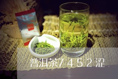 普洱茶7452涩/2023041089403