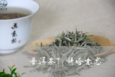 普洱茶7饼啥意思/2023041303926