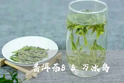 普洱茶88万冰岛/2023041364935