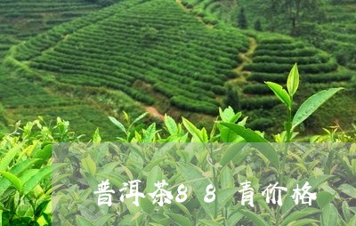 普洱茶88青价格/2023031742724