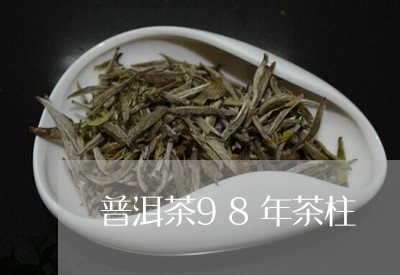 普洱茶98年茶柱/2023041153817