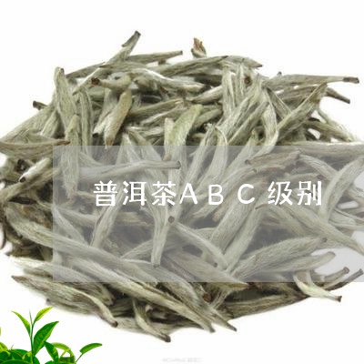 普洱茶ABC级别/2023031663938