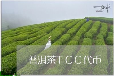 普洱茶TCC代币/2023041188591