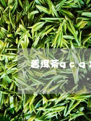 普洱茶gcg含量/2023033041725