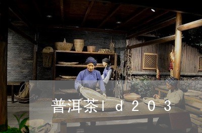 普洱茶ld203/2023041050593