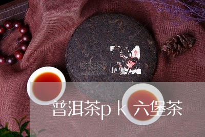 普洱茶pk六堡茶/2023031512937