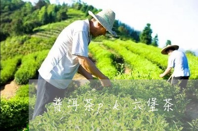 普洱茶pk六堡茶/2023041176958