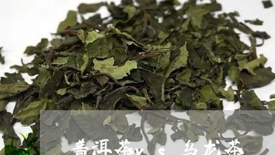 普洱茶vs乌龙茶/2023041177404