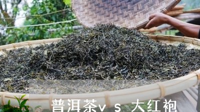 普洱茶vs大红袍/2023041242937