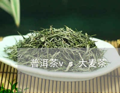 普洱茶vs大麦茶/2023031567461