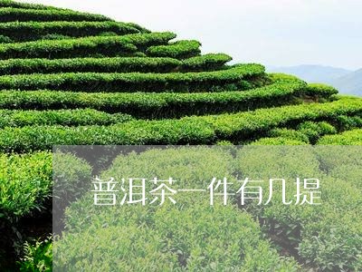 普洱茶一件有几提/2023031872958