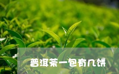 普洱茶一包有几饼/2023033013916