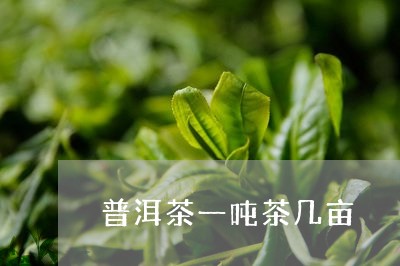 普洱茶一吨茶几亩/2023033175959