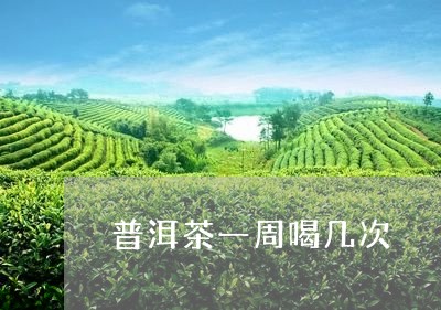 普洱茶一周喝几次/2023033105050