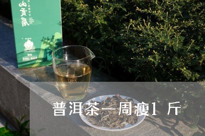 普洱茶一周瘦1斤/2023033004037