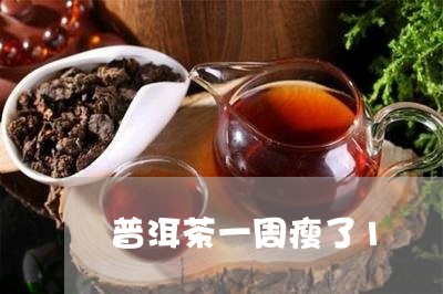 普洱茶一周瘦了1/2023033166361