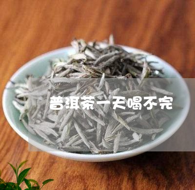 普洱茶一天喝不完/2023031627394