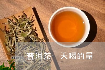 普洱茶一天喝的量/2023033030382