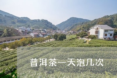 普洱茶一天泡几次/2023031792614