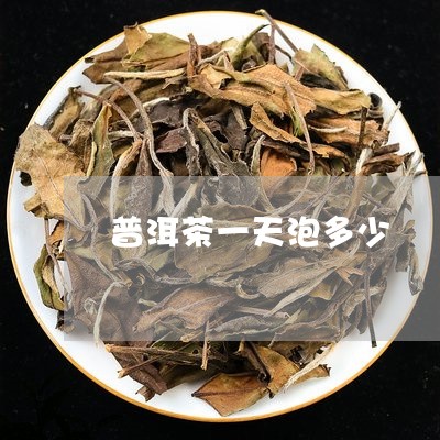 普洱茶一天泡多少/2023033176350