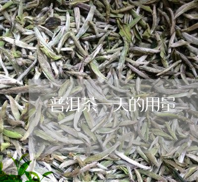 普洱茶一天的用量/2023033120704