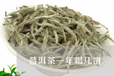 普洱茶一年喝几饼/2023033008581