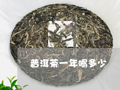 普洱茶一年喝多少/2023033137369