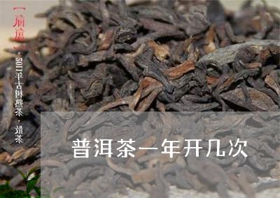 普洱茶一年开几次/2023033174716