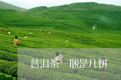 普洱茶一捆是几饼/2023031808615