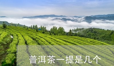 普洱茶一提是几个/2023033191604