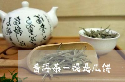 普洱茶一提是几饼/2023031891037