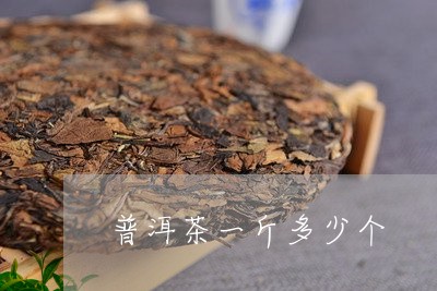 普洱茶一斤多少个/2023033062703