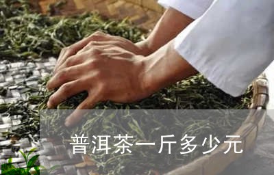 普洱茶一斤多少元/2023041366368