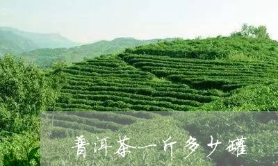 普洱茶一斤多少罐/2023033100615