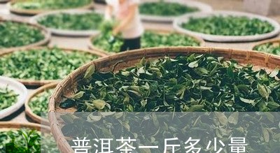 普洱茶一斤多少量/2023033151672