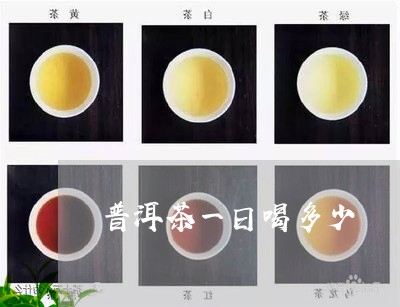 普洱茶一日喝多少/2023033180605