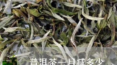 普洱茶一月减多少/2023033053057