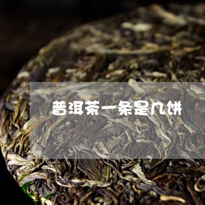 普洱茶一条是几饼/2023033037281