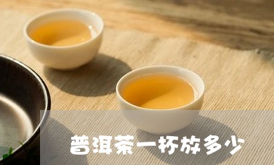 普洱茶一杯放多少/2023033122825