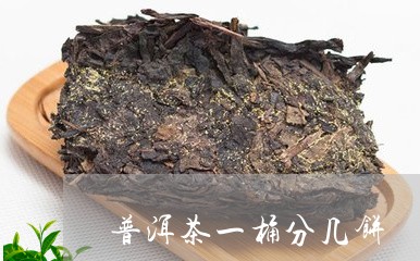 普洱茶一桶分几饼/2023033033936