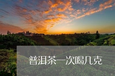 普洱茶一次喝几克/2023033181793