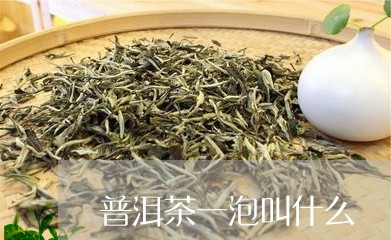 普洱茶一泡叫什么/2023040105929