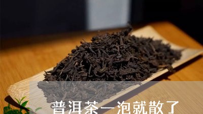 普洱茶一泡就散了/2023033102582