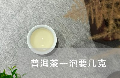 普洱茶一泡要几克/2023033129693