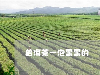 普洱茶一泡黑黑的/2023033025471