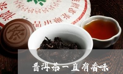 普洱茶一直有香味/2023040141504