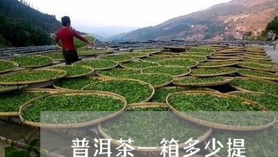 普洱茶一箱多少提/2023033119492