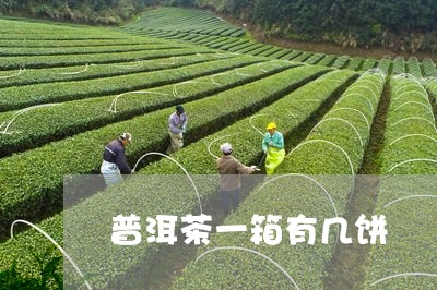 普洱茶一箱有几饼/2023033035170