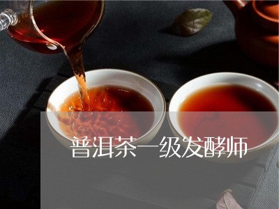 普洱茶一级发酵师/2023033167269